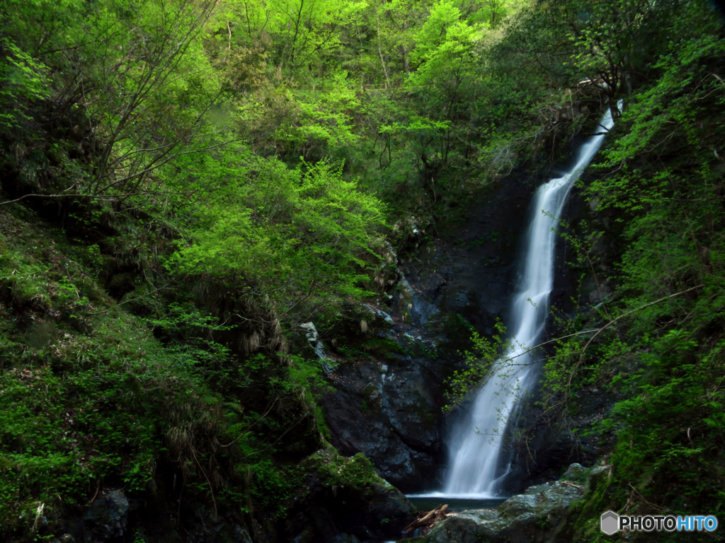 野鹿の滝