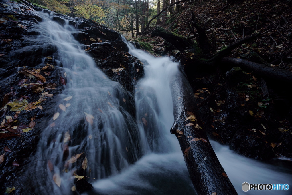 お気に入り小瀑1、流木