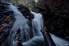 お気に入り小瀑1、流木