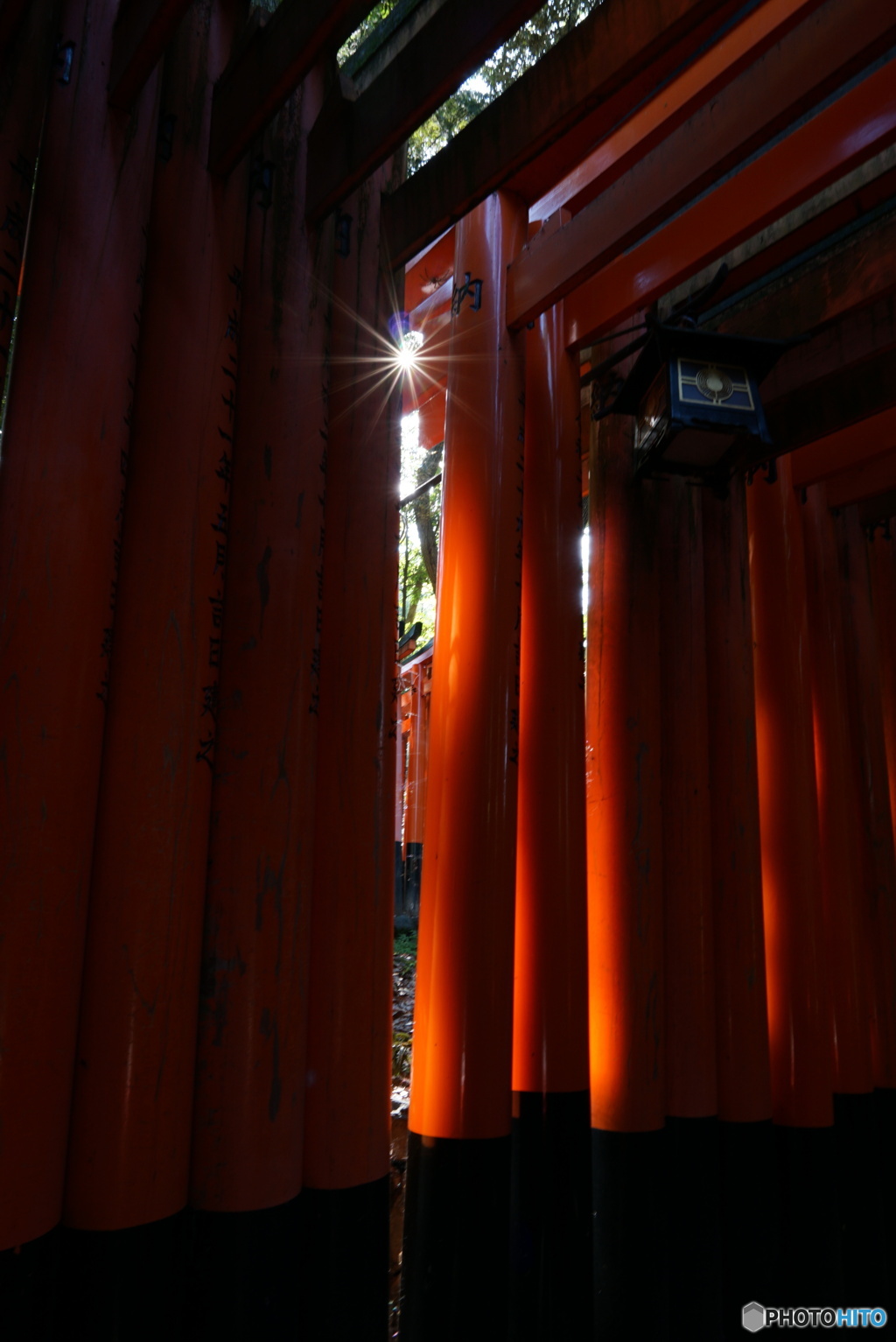 千本鳥居の夏太陽
