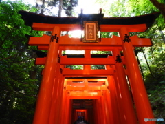 朱