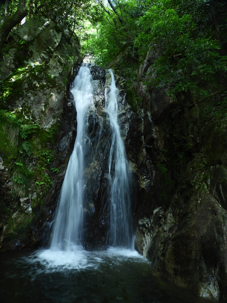 楊梅の滝 雌滝
