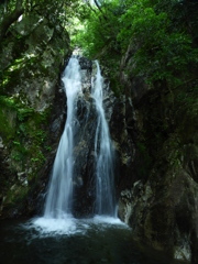 楊梅の滝 雌滝