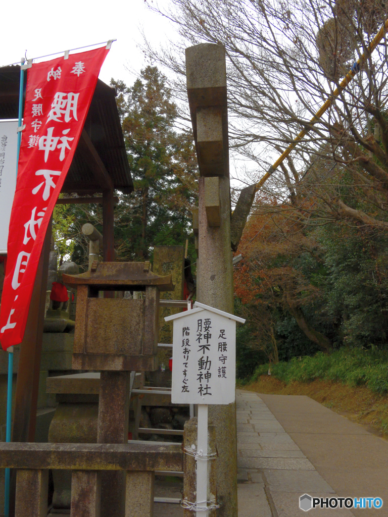 稲荷散歩～Watch your step!