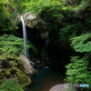 淡い新居田の滝