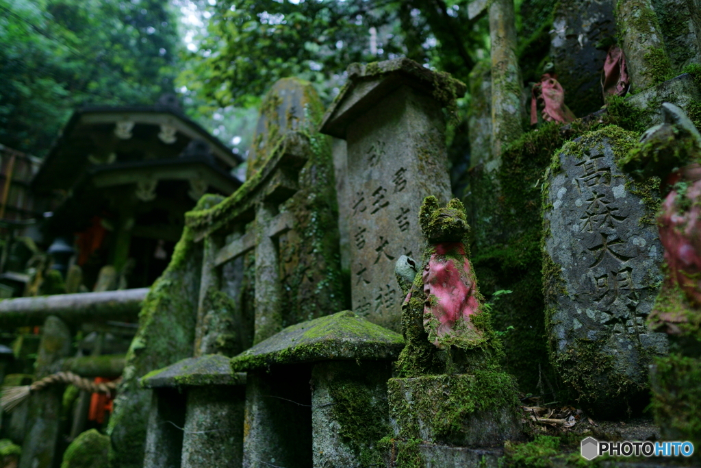 苔むす行場の狛狐