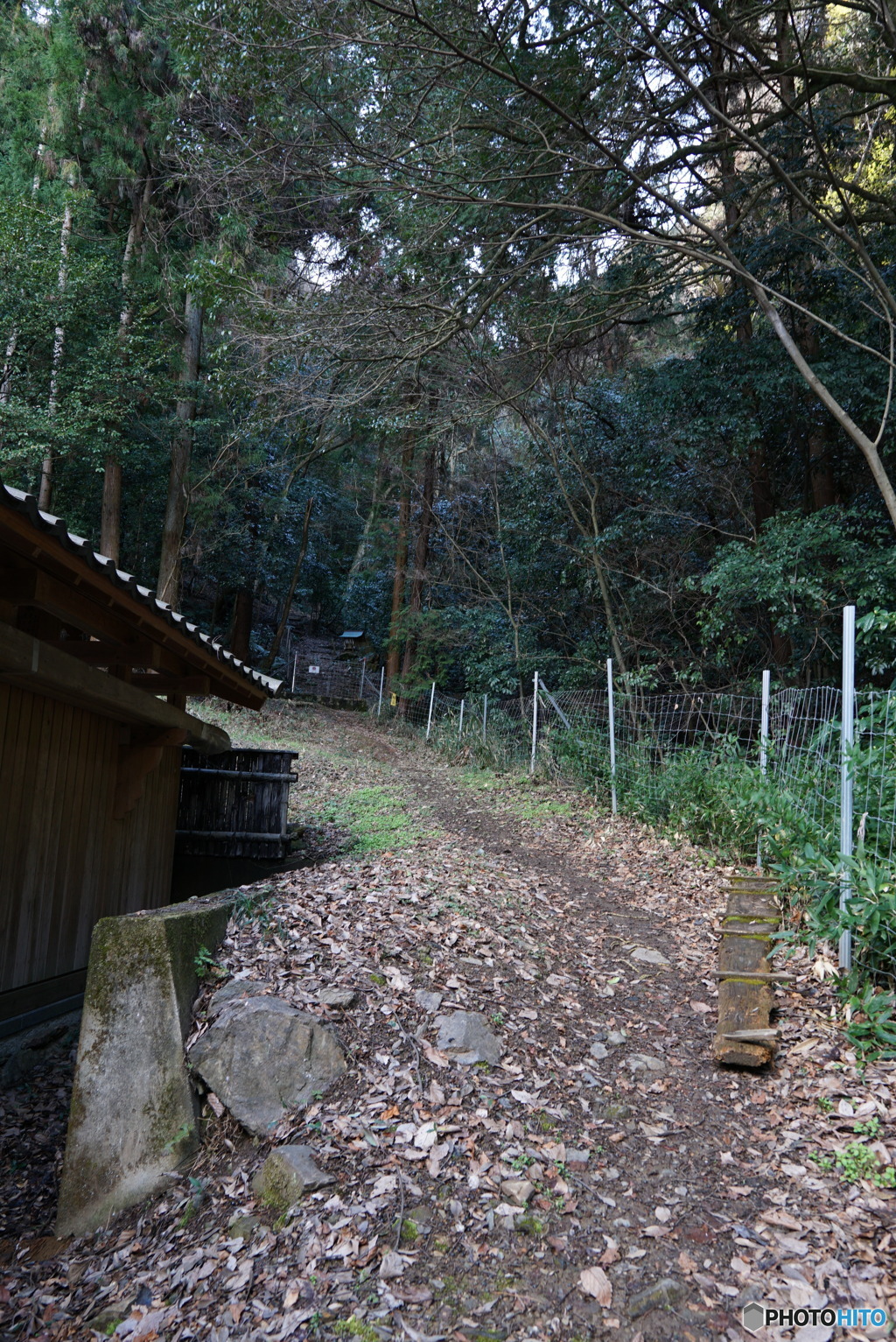 秘密の通路か