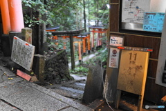 路地の誘惑