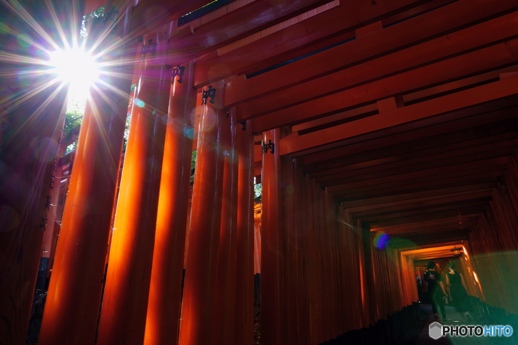 千本鳥居の夏太陽２