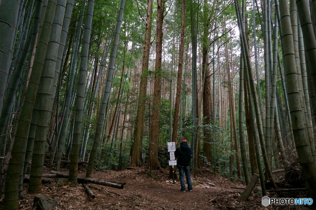 稲荷ダンジョン　山科参道ゴール