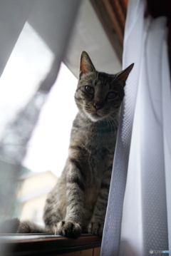 おはようマサムネくん