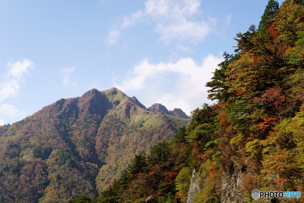 伊予富士の紅葉添え