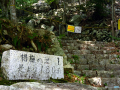 豪雨後の楊梅