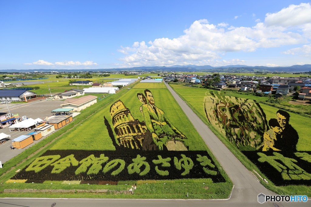 田園アート２　