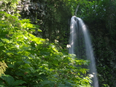 初夏　双竜の滝　その２