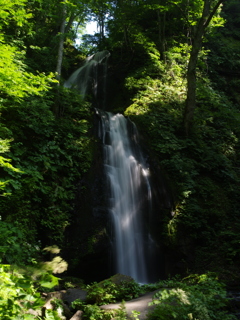 初夏　雲井の滝　その１