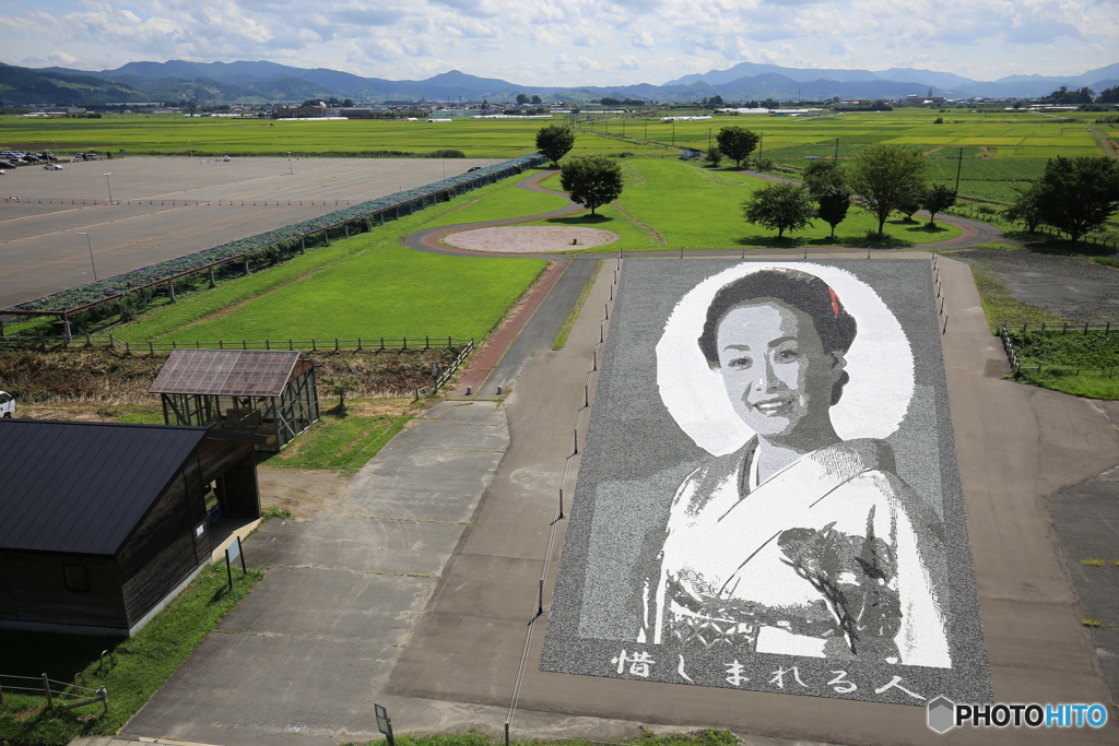 アート風景