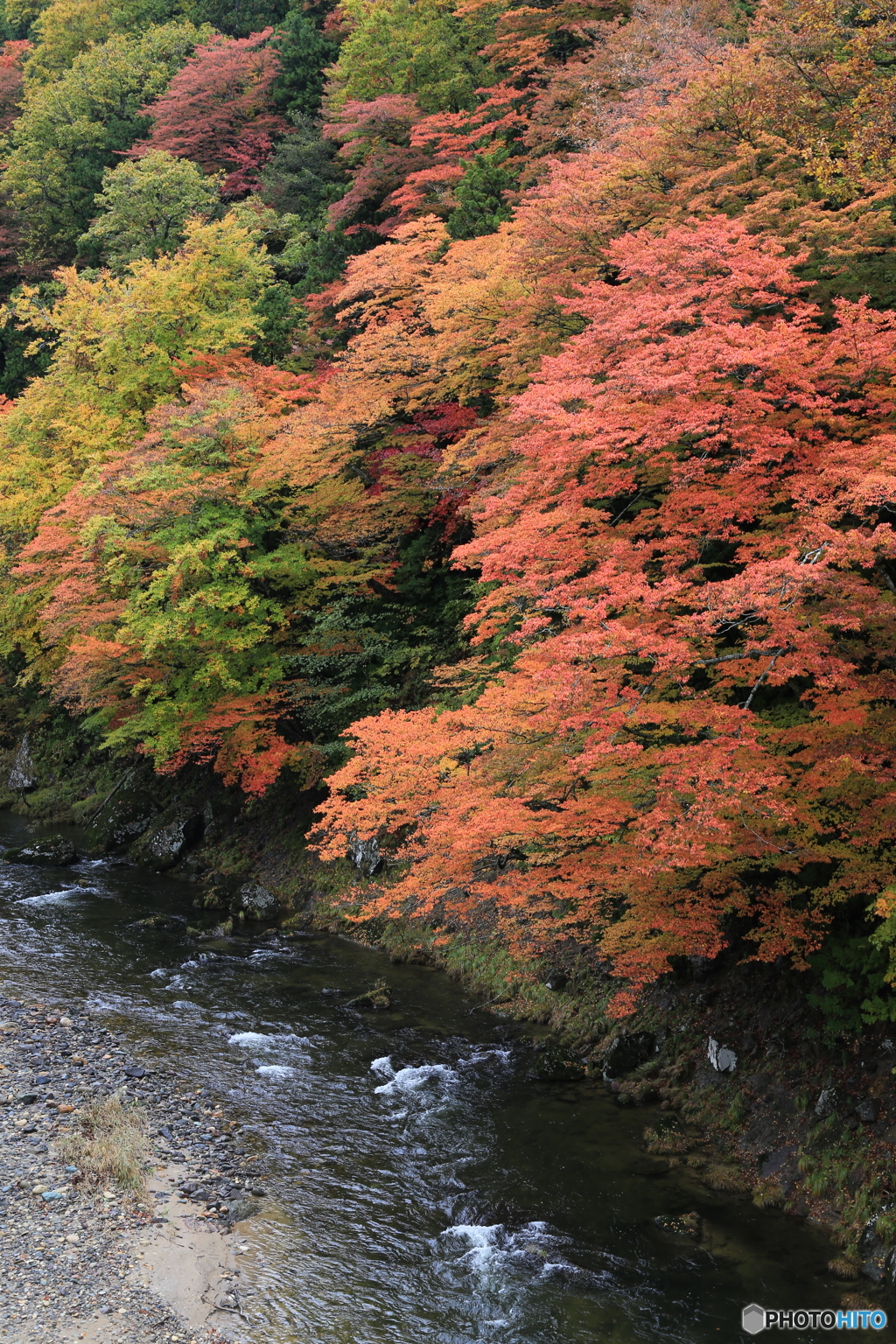 秋の渓流散策１