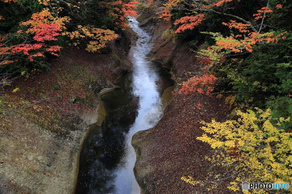 紅葉散策５