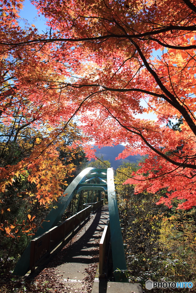 紅葉橋