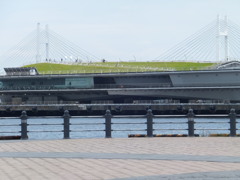 大桟橋３