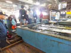 横浜中央卸売市場本場開放日７