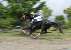 いなべ草競馬