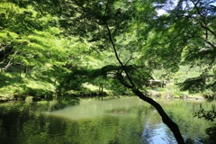 成田山公園