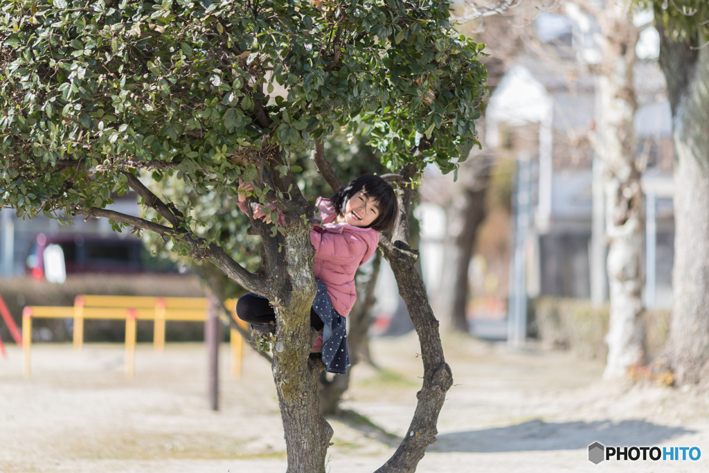 木登り