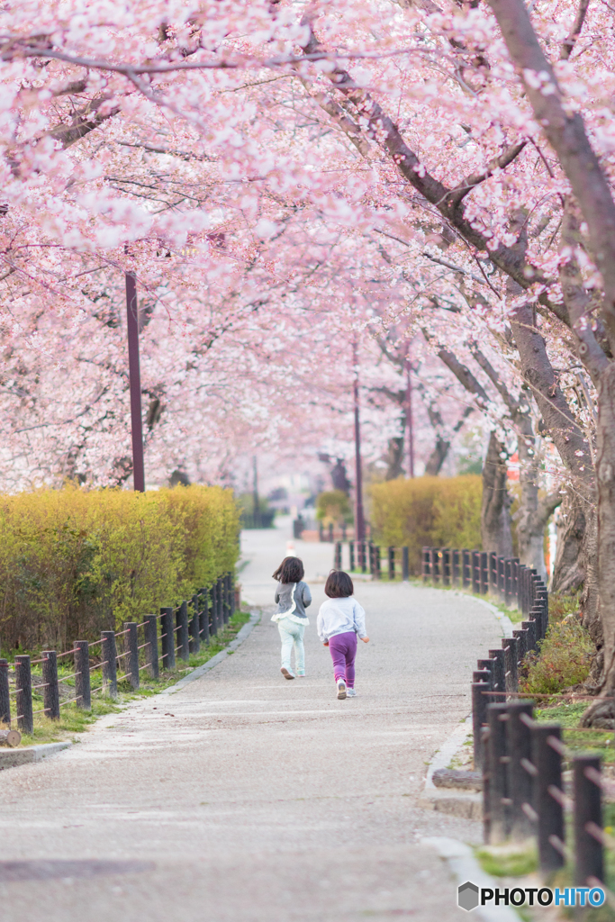 SAKU RUN