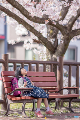 桜とベンチと女の子