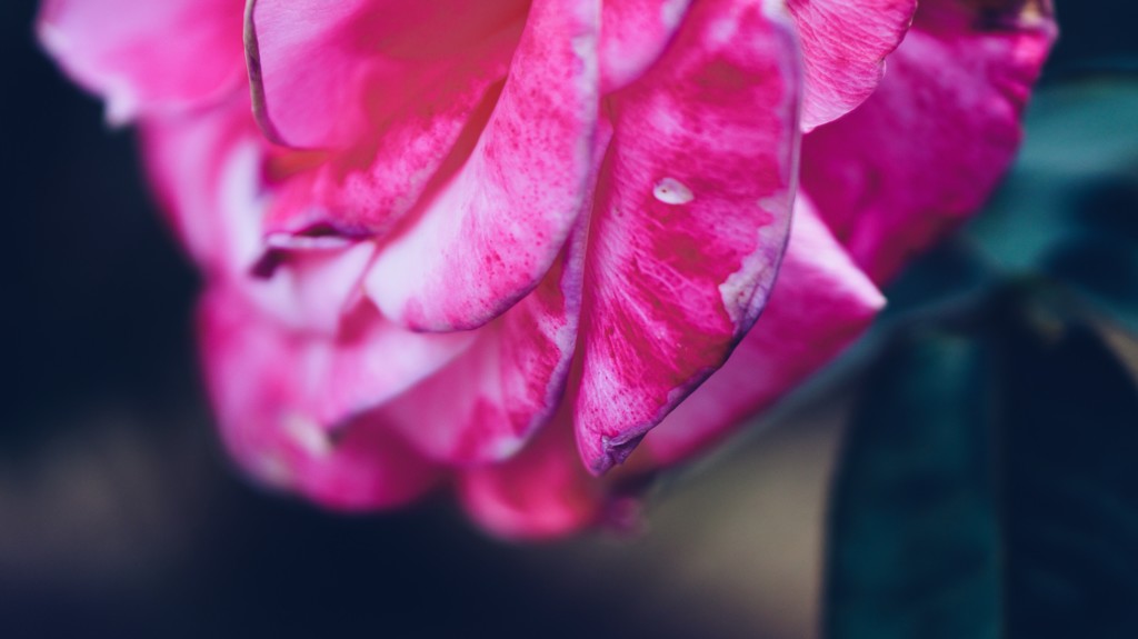 E8050B81-32C4-4D6A-9228-7B502162BBBF