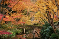 六義園にて