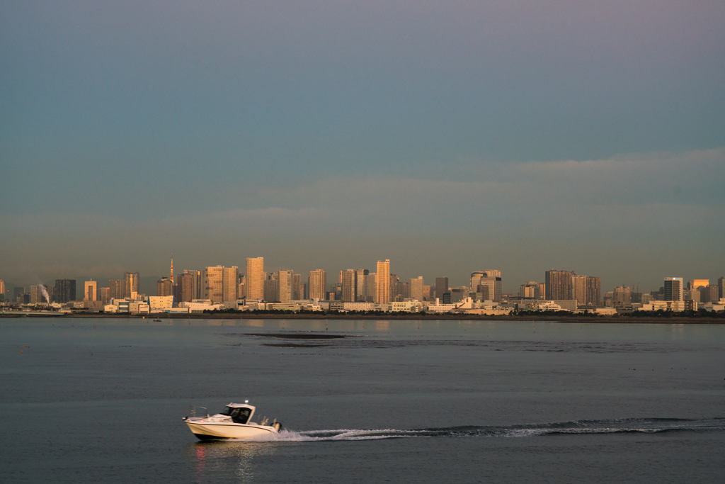 東京湾　夜明け前７