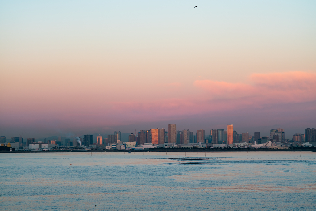東京湾　夜明け前８