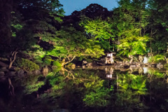 旧古河庭園　ライトアップあれこれ１