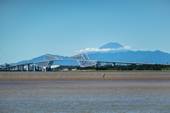 茶色く濁った東京湾2 茶色く濁った東京湾2