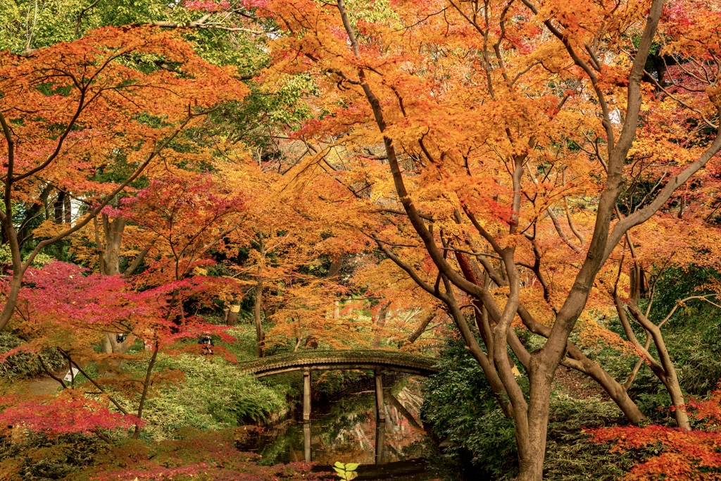六義園にて