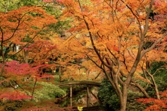 六義園にて