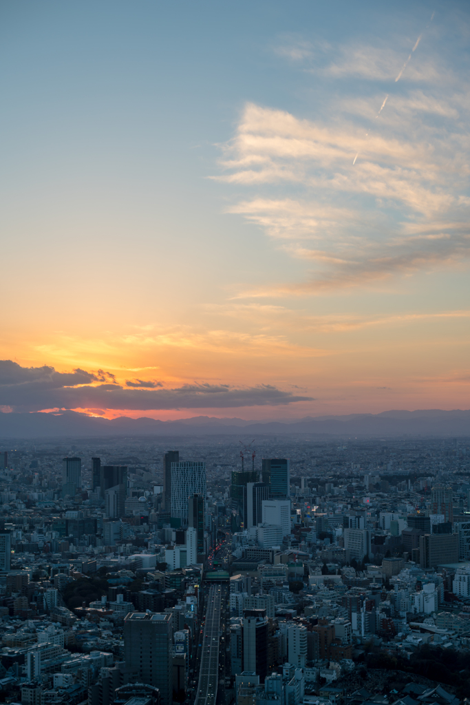 tokyo’ｓ cityscapesⅣ３