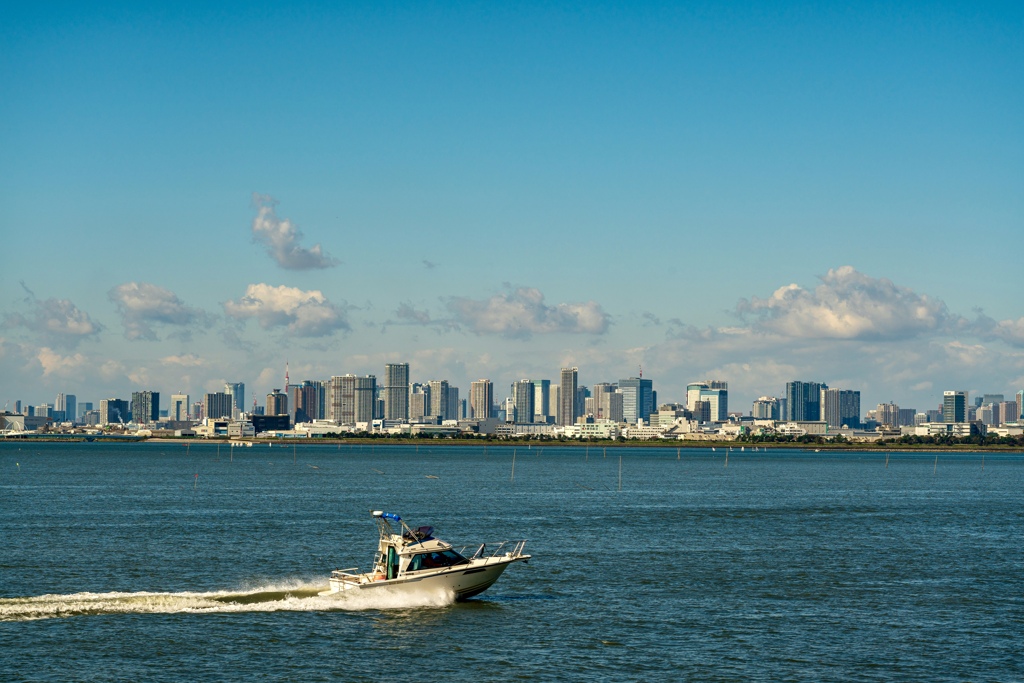 東京湾　朝