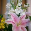 colorful flowers3
