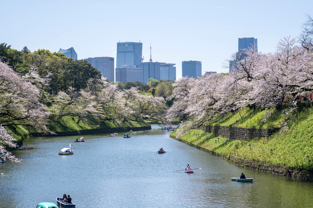 Spring has come‼️