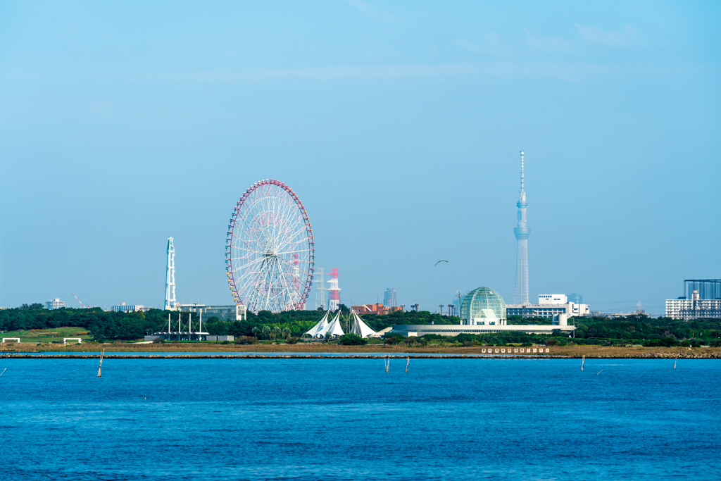 morning view of tokyo bay