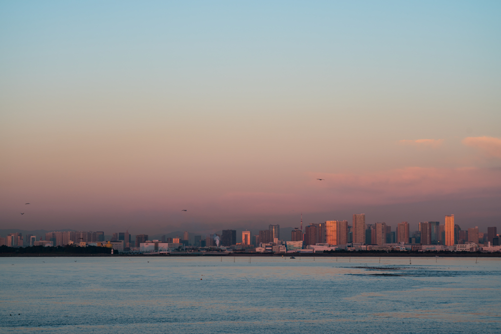 東京湾　夜明け　あれこれ２