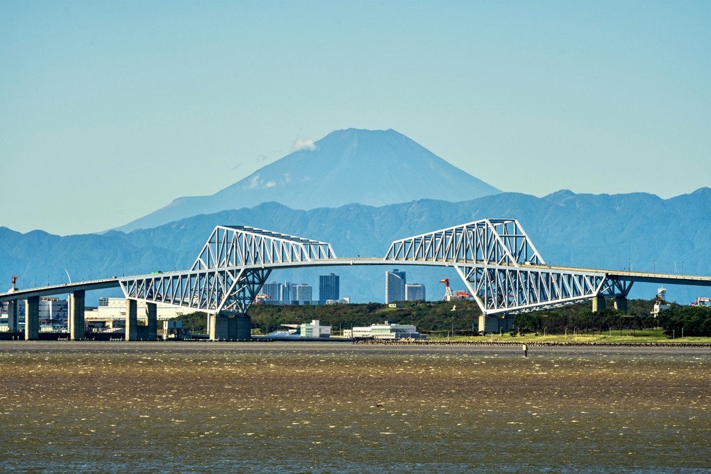 茶色く濁った東京湾