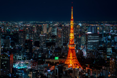 Tokyo's  cityscape