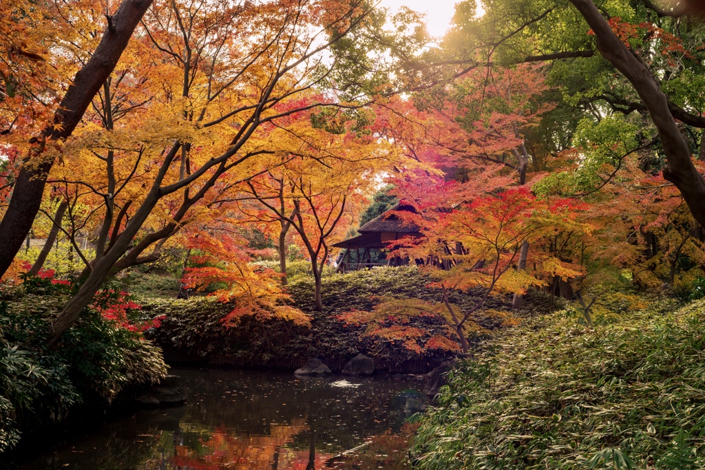 六義園にて