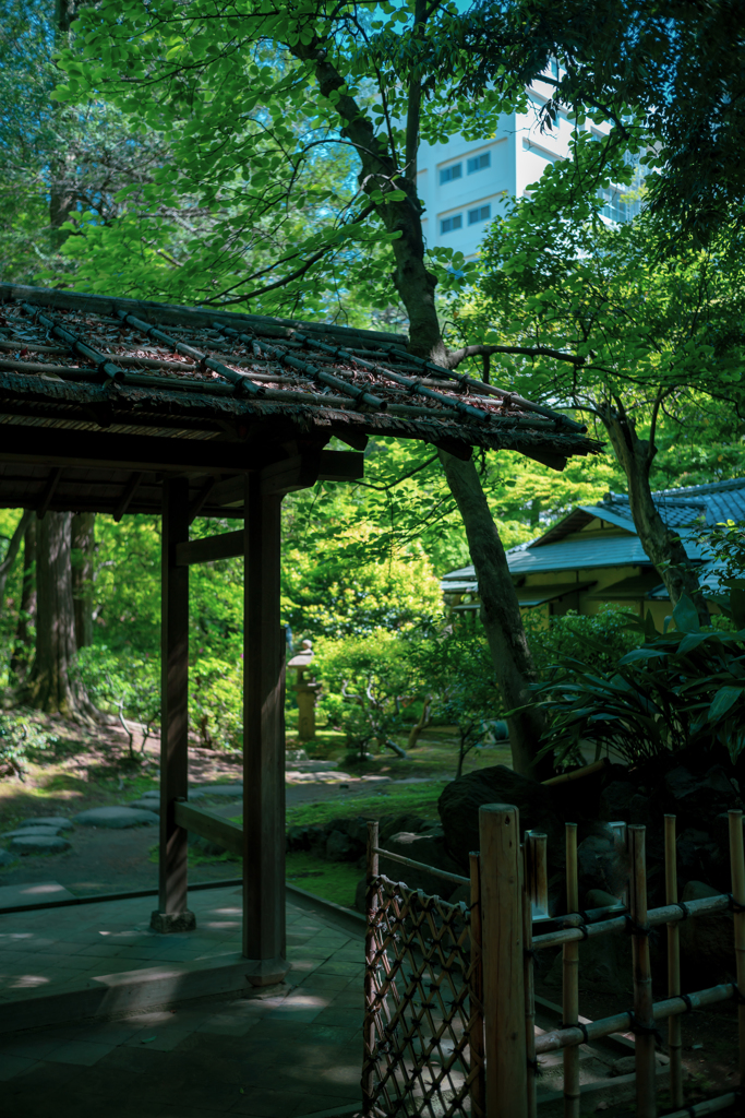 tokyo’ｓ cityscapes Ⅸ2