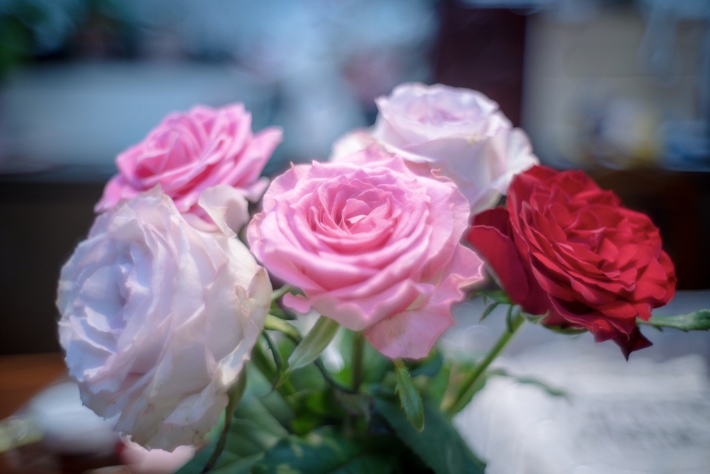 Colorful flowers 1